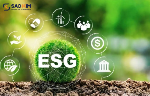 ESG và báo cáo bền vững